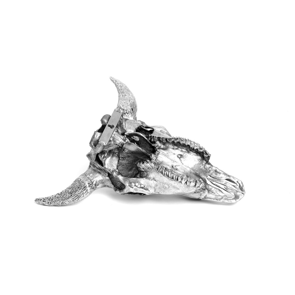 Seletti - Wunderkrammer Bison Skull